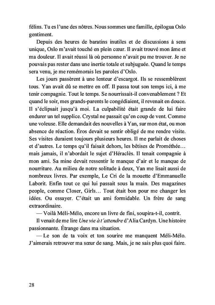 Sphinx - Le cercle des félins