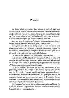 Un tronc de figuier déraciné