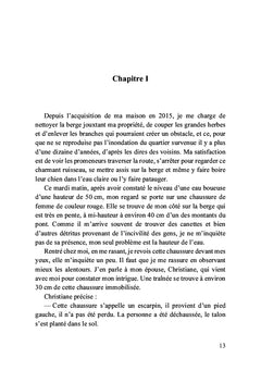 L'escarpin de la berge