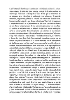 Rêves éveillés