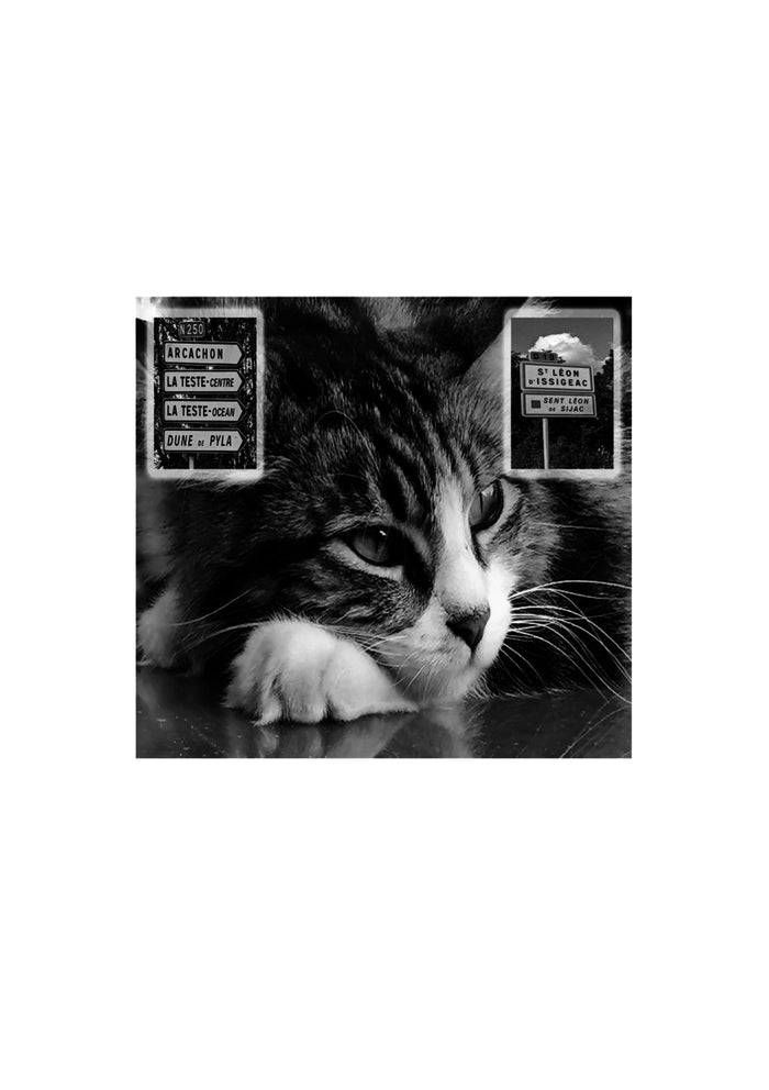 Et ron et ron, petit patapon ou Une certaine idée du bonheur...