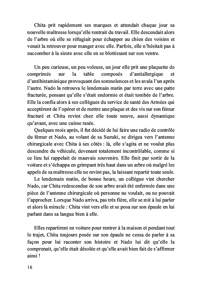 Et ron et ron, petit patapon ou Une certaine idée du bonheur...