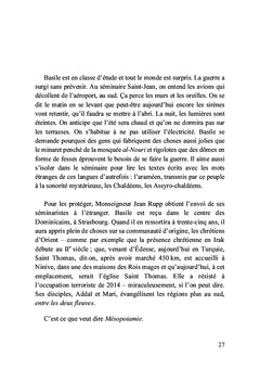 Bagatelles en parade à Bagdad