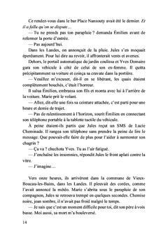 La chute de l'étoile