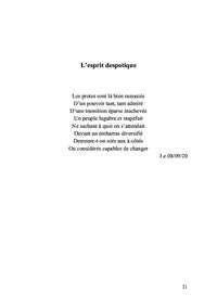Chokri Belaïd et la panoplie des idées prometteuses
