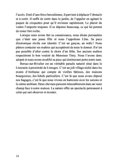 Derrière le rideau