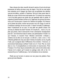Chemin du retour