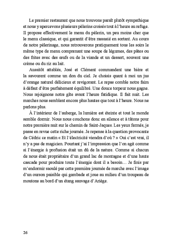 Rencontres inattendues sur le chemin de Compostelle