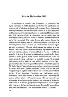 Les carnets de Malik