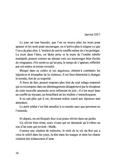 Les carnets de Malik