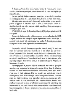 Les ombres et les soleils de ma vie