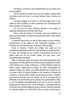 La folie d'un ange