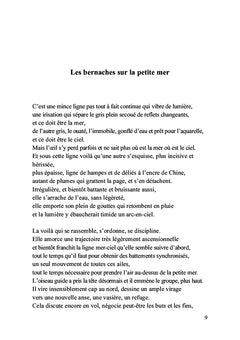 Les bernaches sur la petite mer