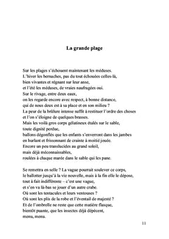 Les bernaches sur la petite mer