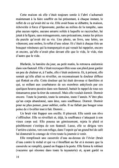 Les oiseaux migrateurs