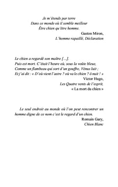 Le rire du chien