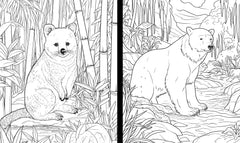Mon grand carnet de coloriages Une Saison au Zoo