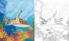 Mon grand carnet de coloriages Une Saison au Zoo