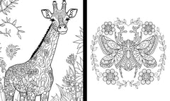 Mon grand carnet de coloriages Une Saison au Zoo