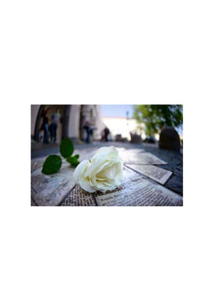 La rose blanche - Dans les pas de Sophie Scholl