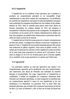 Trouble du spectre de l'autisme et stratégies d'intervention