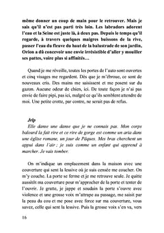 Le tour du pâté de maisons