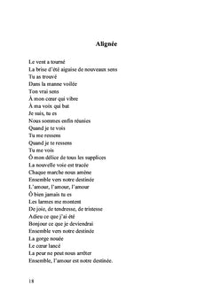 Le parfait livre des poèmes imparfaits