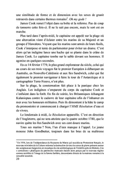 Le bûcheron flamand
