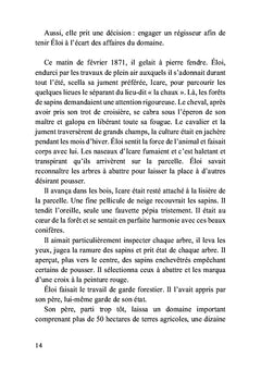 La bipolarité et moi