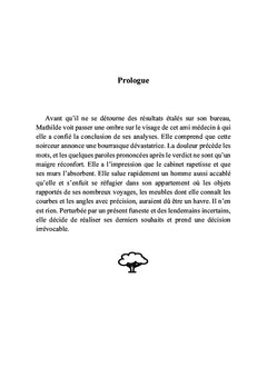 La lumière des saisons