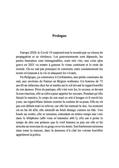 Belgique zombies Tome I la chute