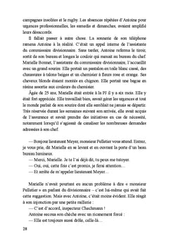 Le grand ange rose
