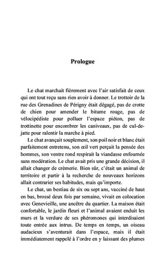 Médor