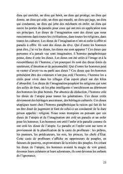 Journal d'un fou rationnel