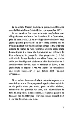 Les voiles de la rumeur