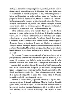 Bestiaire - Bêtes plurielles, homme singulier