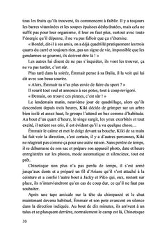 Enfer vert et belle sirène
