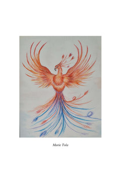 Comme le phenix