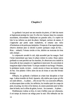 La passe du phare