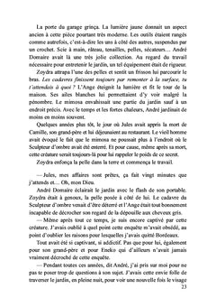 La chute de l'étoile