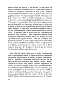 Chroniques d'un Sud disparu