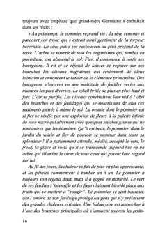 Le pommier, la pomme et le pépin