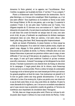 Le chauffeur de maître