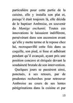 Brèves de conte - Livre gros caractères