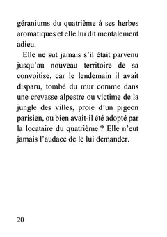 Brèves de conte - Livre gros caractères