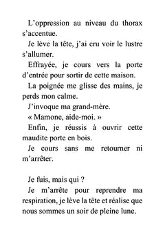 L'amant virtuel