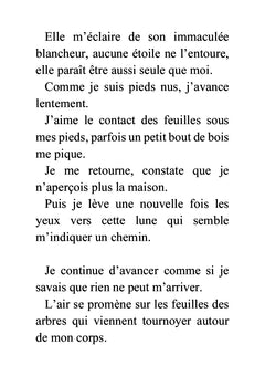 L'amant virtuel