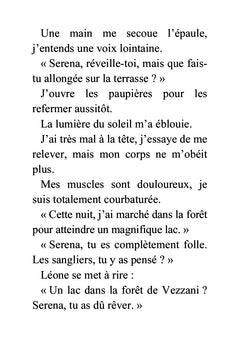 L'amant virtuel