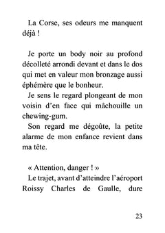 L'amant virtuel