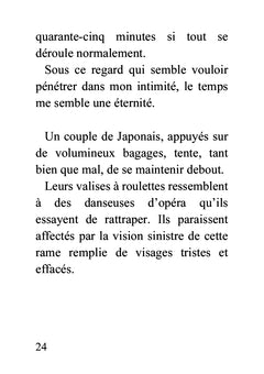 L'amant virtuel